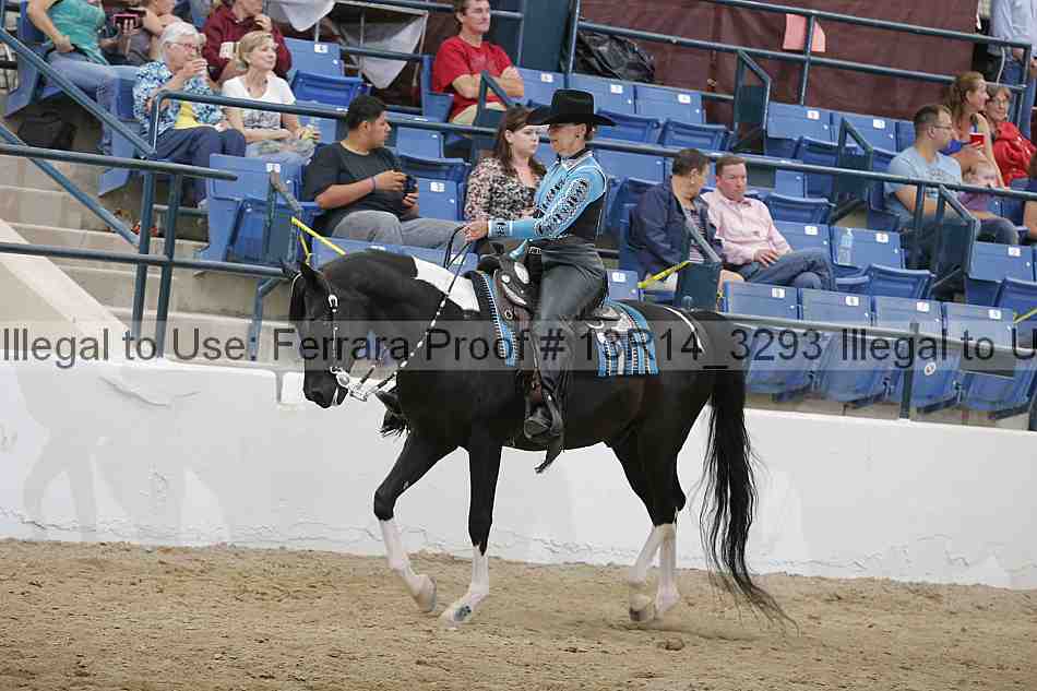 Proof 13r14_3293