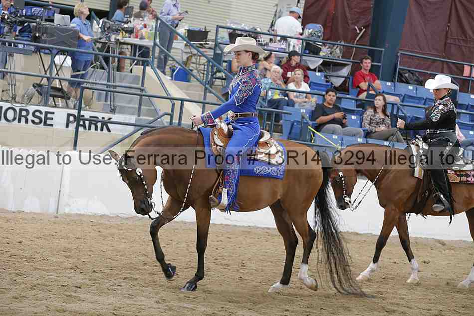 Proof 13r14_3294