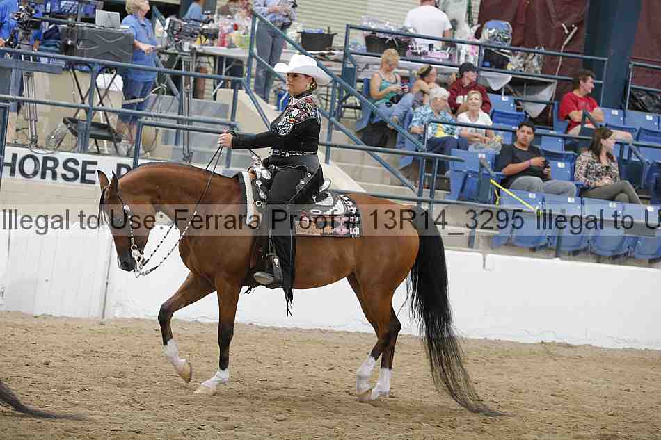 Proof 13r14_3295