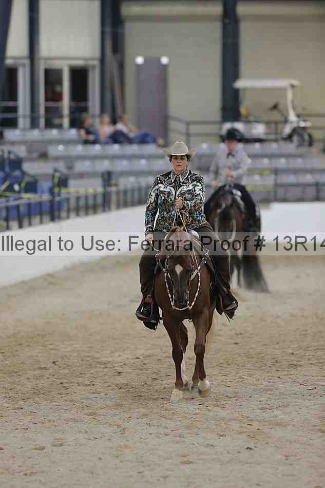 Proof 13r14_3299