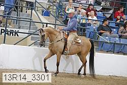 13r14_3301 proof