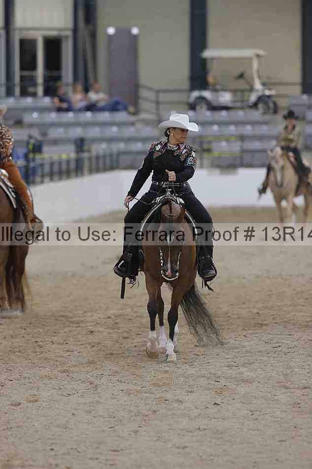 Proof 13r14_3304