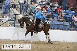 13r14_3306 proof