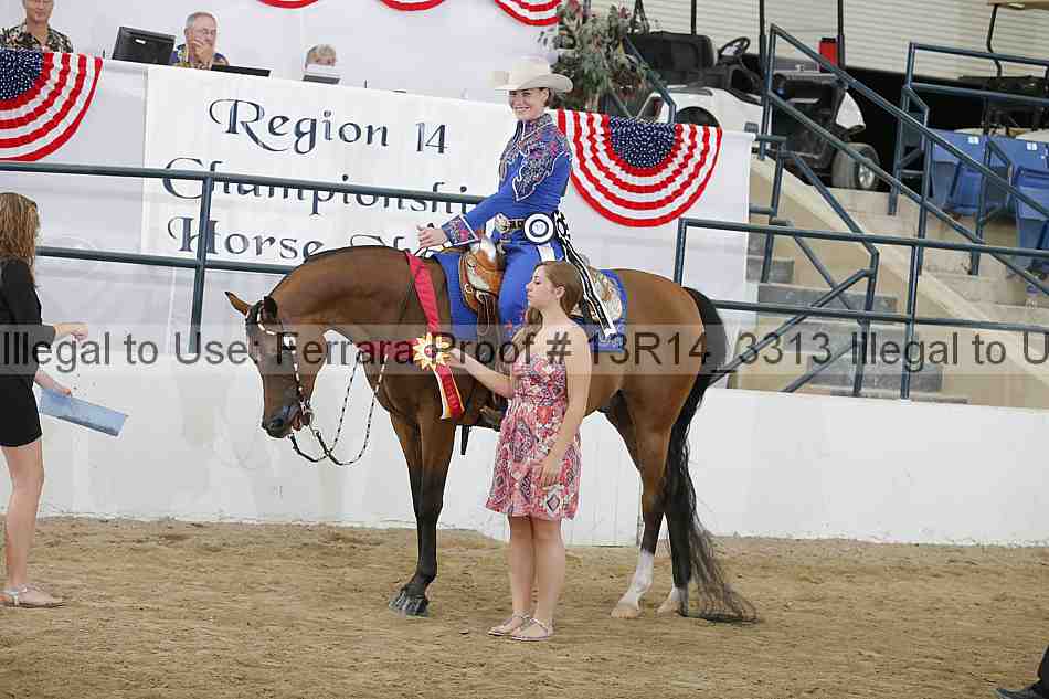 Proof 13r14_3313