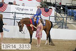 13r14_3313 proof