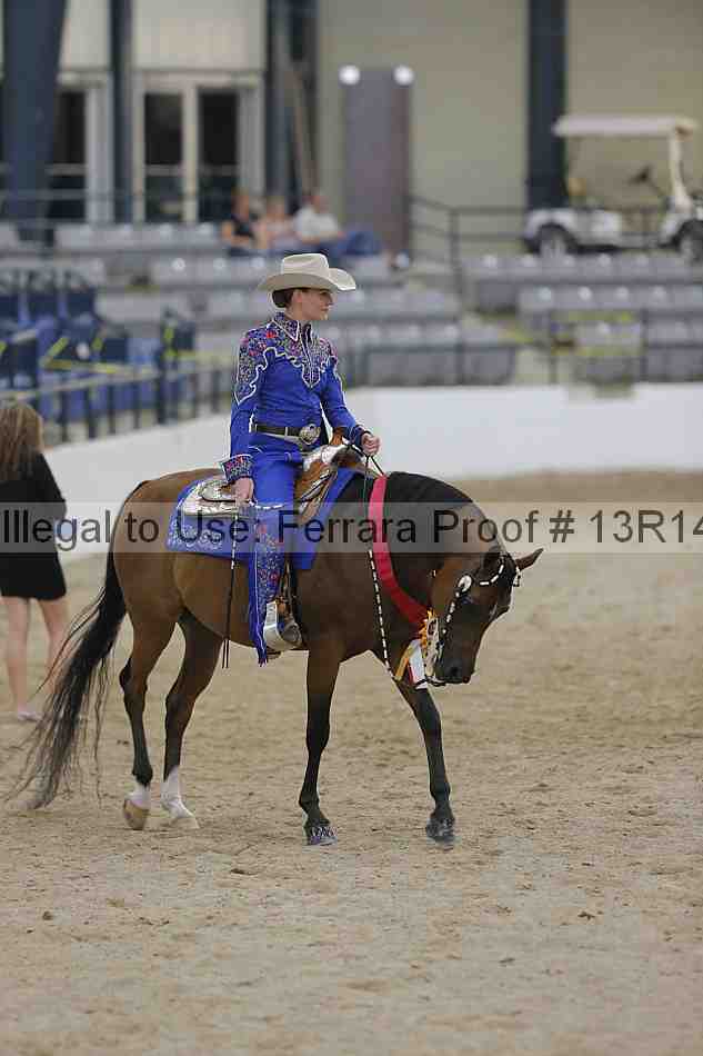 Proof 13r14_3315