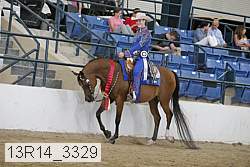 13r14_3329 proof
