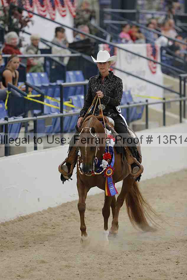Proof 13r14_3339