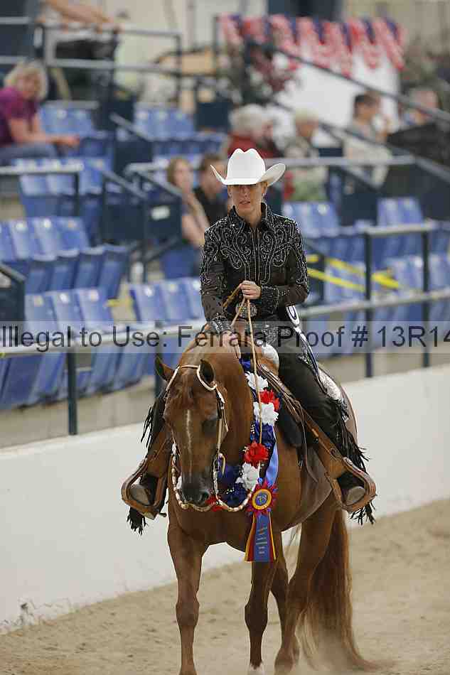 Proof 13r14_3341