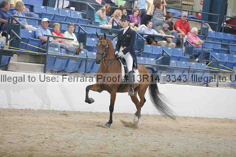 Proof 13r14_3343