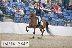 13r14_3343 proof