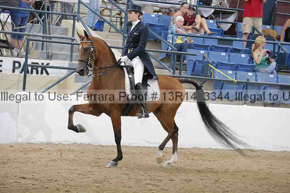 Proof 13r14_3344