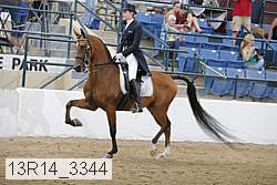 13r14_3344 proof