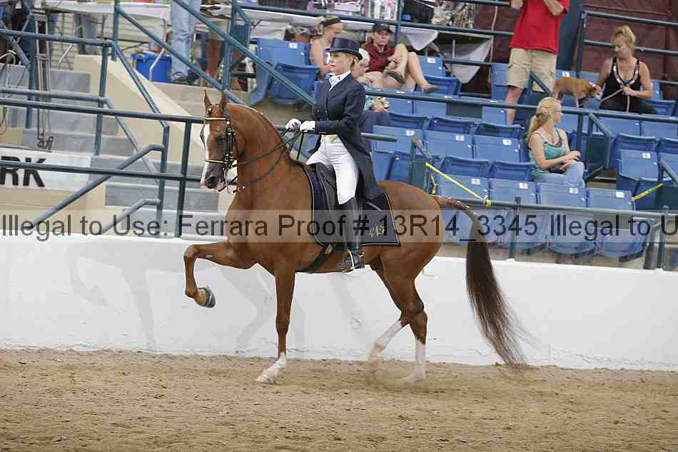 Proof 13r14_3345
