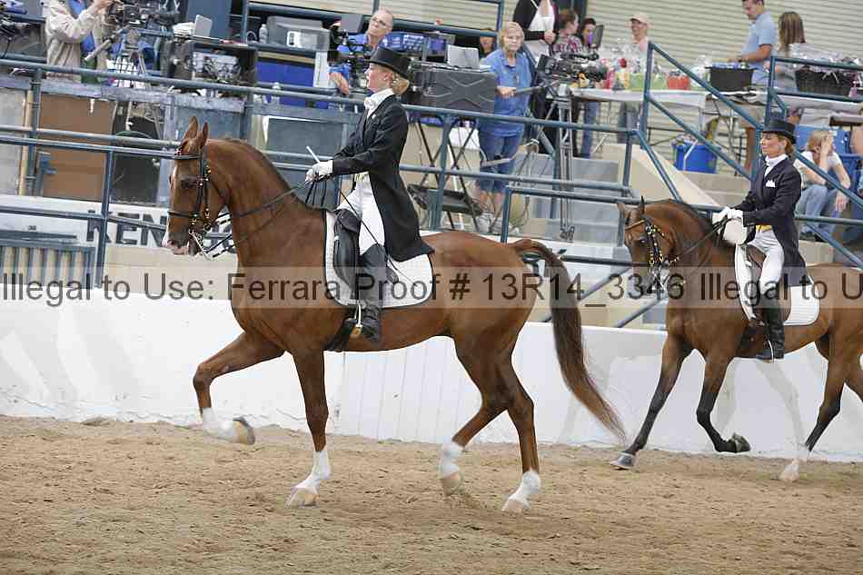 Proof 13r14_3346