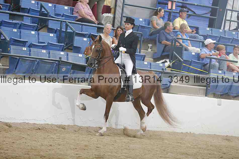 Proof 13r14_3349