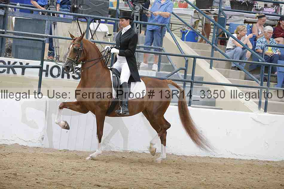Proof 13r14_3350