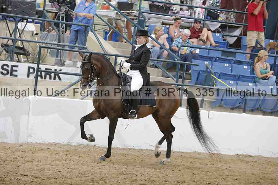 Proof 13r14_3351