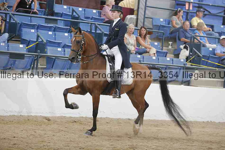Proof 13r14_3354