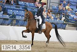 13r14_3354 proof