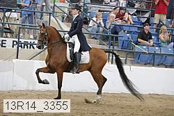 13r14_3355 proof