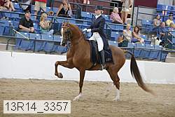 13r14_3357 proof