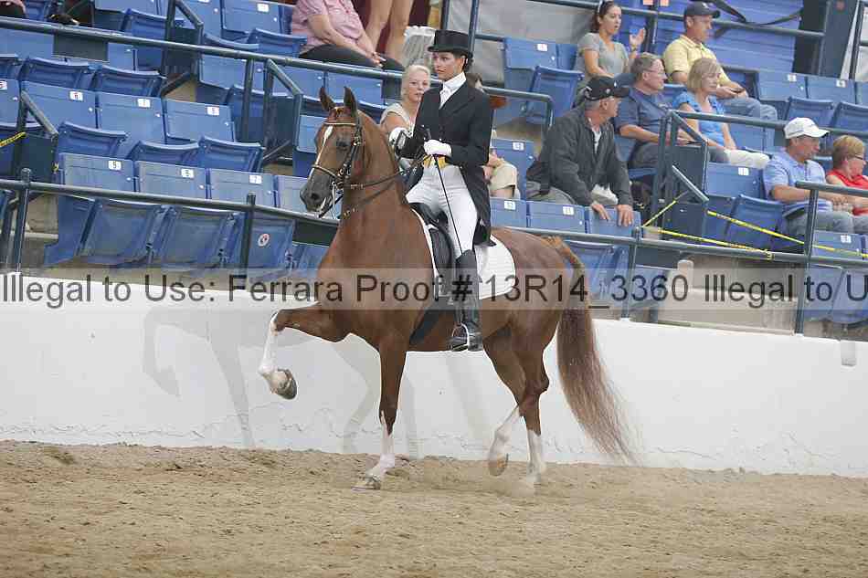 Proof 13r14_3360