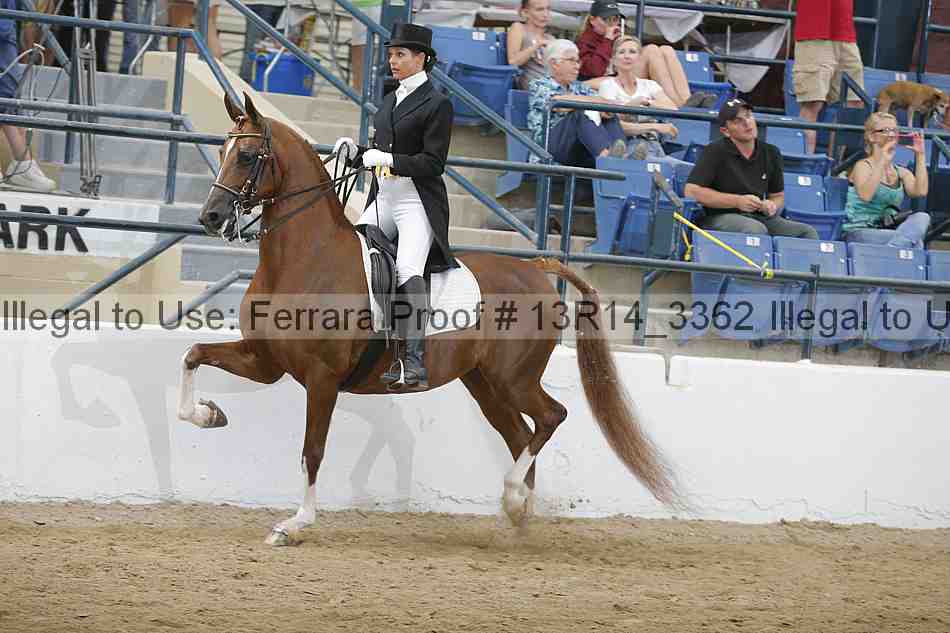 Proof 13r14_3362