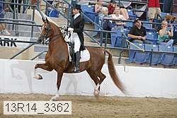 13r14_3362 proof
