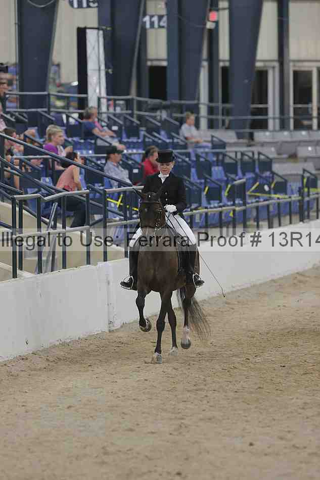 Proof 13r14_3363