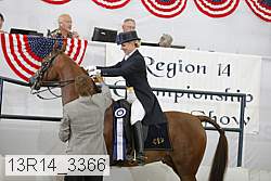 13r14_3366 proof