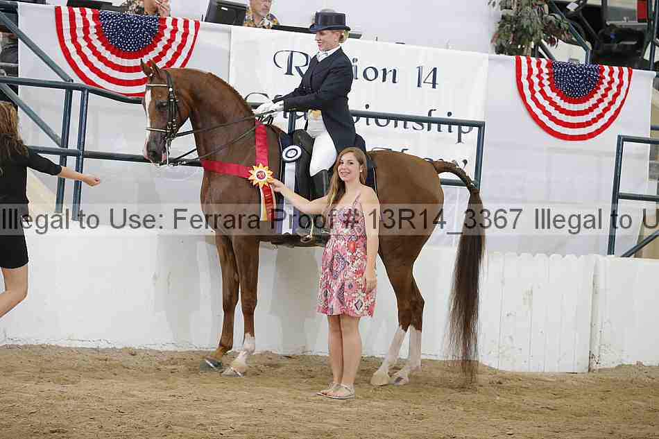 Proof 13r14_3367