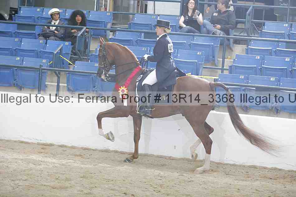 Proof 13r14_3368