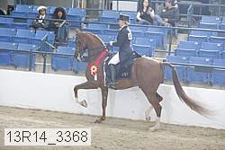 13r14_3368 proof