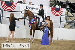 13r14_3371 proof