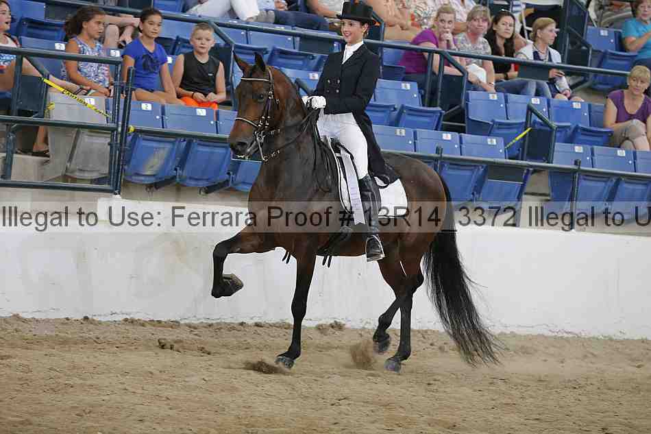 Proof 13r14_3372