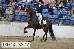13r14_3372 proof