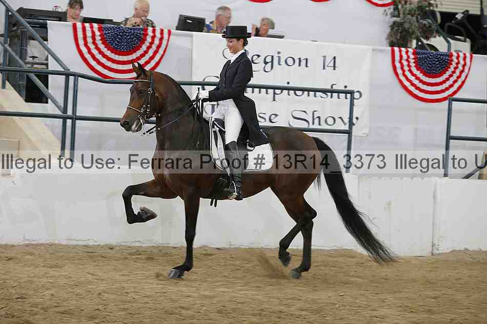 Proof 13r14_3373