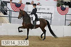 13r14_3373 proof