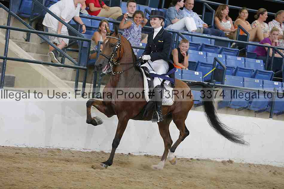 Proof 13r14_3374