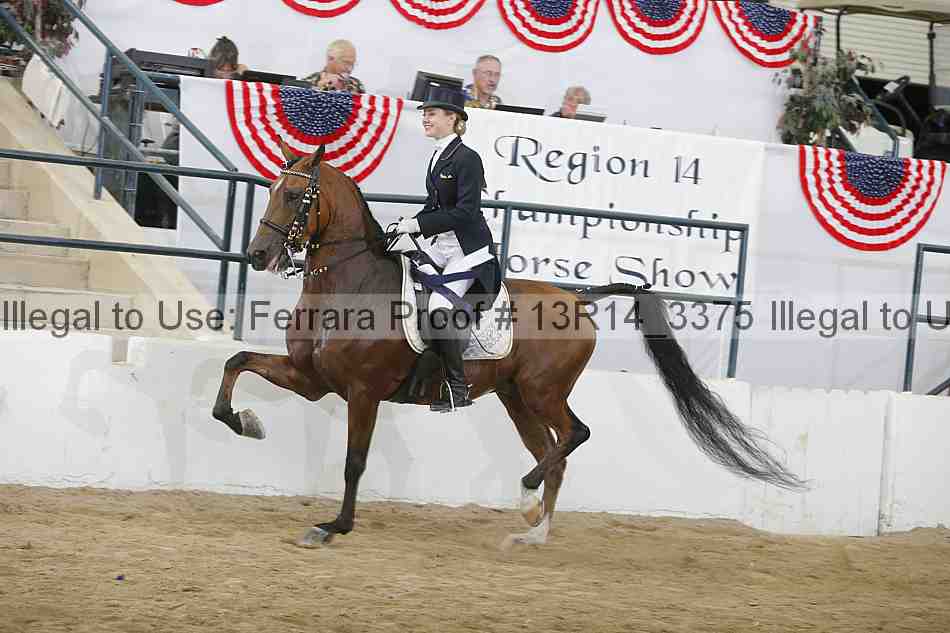 Proof 13r14_3375