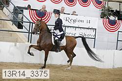 13r14_3375 proof