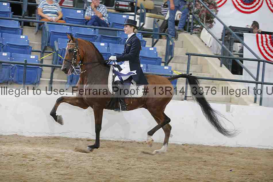 Proof 13r14_3376