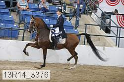 13r14_3376 proof