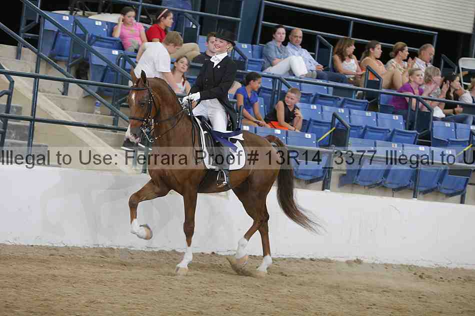 Proof 13r14_3377