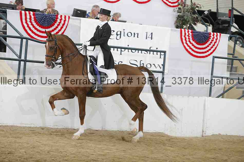 Proof 13r14_3378