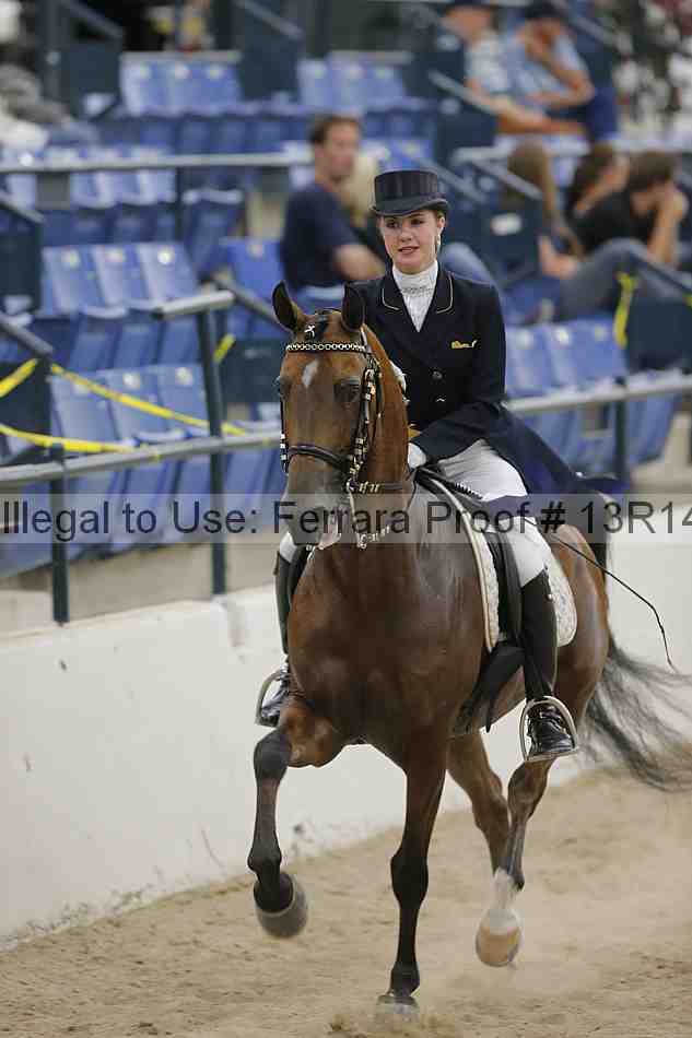 Proof 13r14_3379