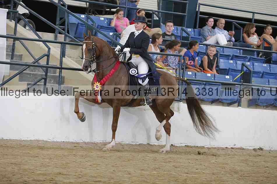 Proof 13r14_3381