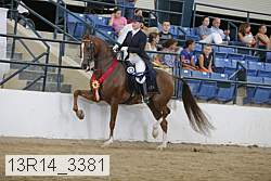 13r14_3381 proof