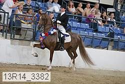 13r14_3382 proof